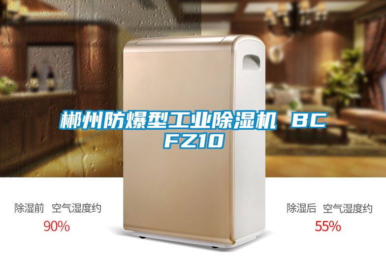 郴州防爆型工業(yè)除濕機 BCFZ10