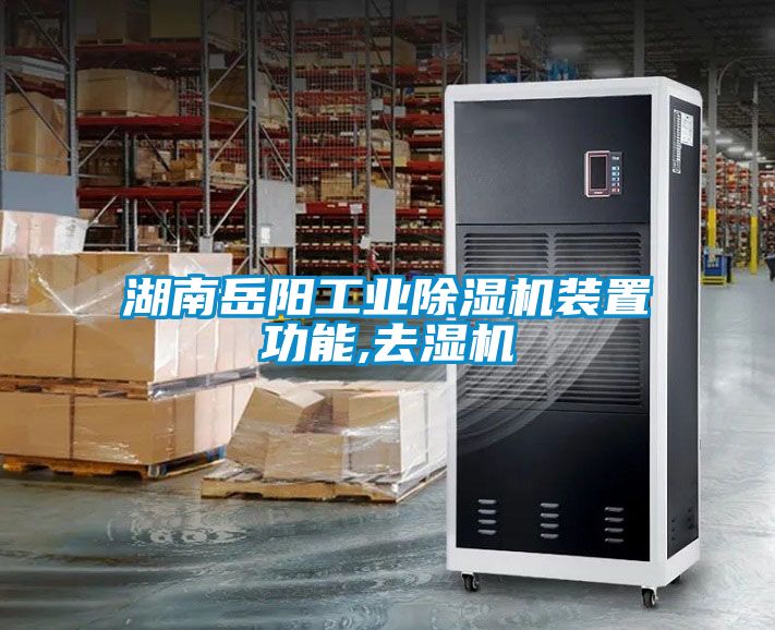 湖南岳陽(yáng)工業(yè)除濕機裝置功能,去濕機