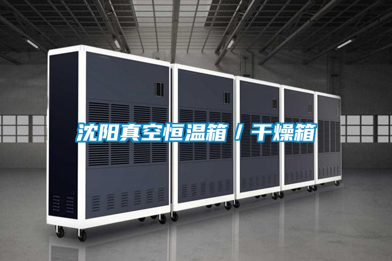 沈陽(yáng)真空恒溫箱／干燥箱