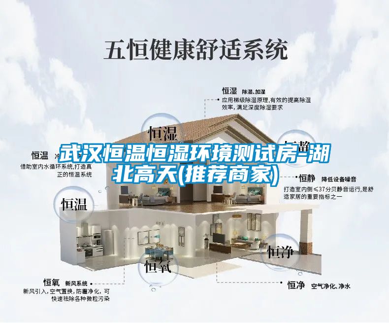 武漢恒溫恒濕環(huán)境測試房-湖北高天(推薦商家)