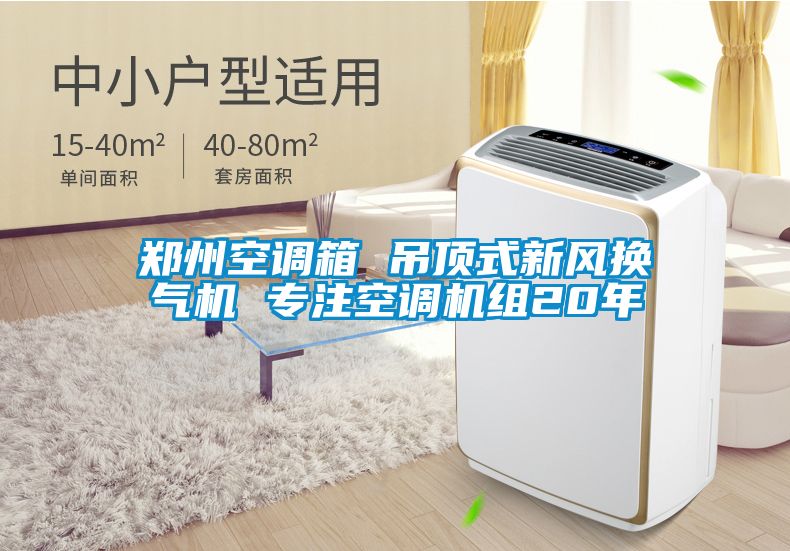 鄭州空調箱 吊頂式新風(fēng)換氣機 專(zhuān)注空調機組20年