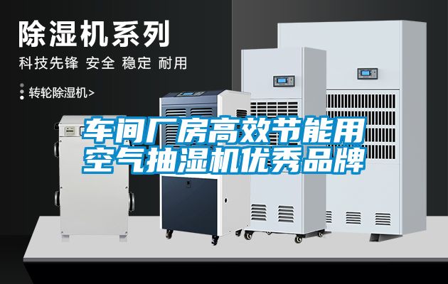 車(chē)間廠(chǎng)房高效節能用空氣抽濕機優(yōu)秀品牌