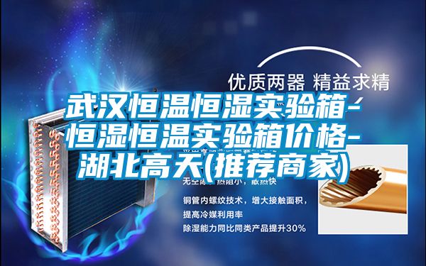 武漢恒溫恒濕實(shí)驗箱-恒濕恒溫實(shí)驗箱價(jià)格-湖北高天(推薦商家)