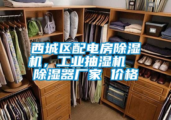 西城區配電房除濕機，工業(yè)抽濕機  除濕器廠(chǎng)家 價(jià)格