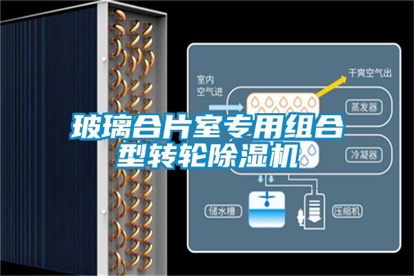 玻璃合片室專(zhuān)用組合型轉輪除濕機
