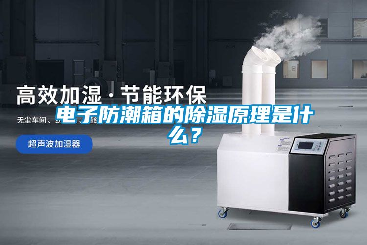 電子防潮箱的除濕原理是什么？