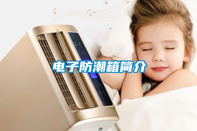 電子防潮箱簡(jiǎn)介