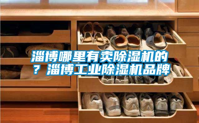 淄博哪里有賣(mài)除濕機的？淄博工業(yè)除濕機品牌