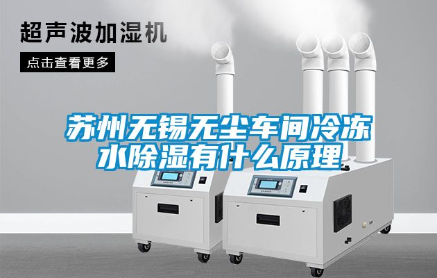 蘇州無(wú)錫無(wú)塵車(chē)間冷凍水除濕有什么原理