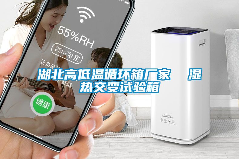 湖北高低溫循環(huán)箱廠(chǎng)家  濕熱交變試驗箱