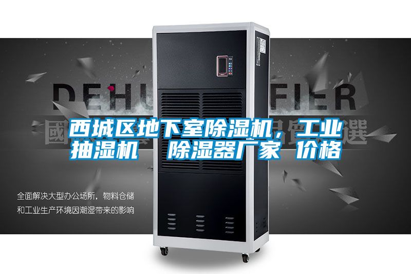 西城區地下室除濕機，工業(yè)抽濕機  除濕器廠(chǎng)家 價(jià)格