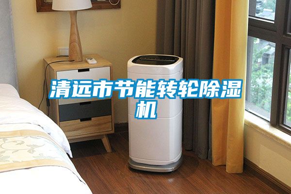 清遠市節能轉輪除濕機