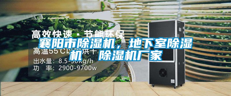 襄陽(yáng)市除濕機，地下室除濕機  除濕機廠(chǎng)家
