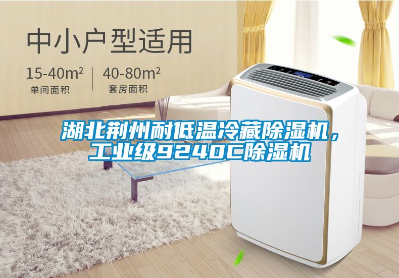 湖北荊州耐低溫冷藏除濕機，工業(yè)級9240C除濕機