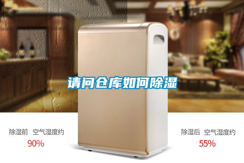 請問(wèn)倉庫如何除濕