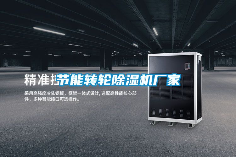 節能轉輪除濕機廠(chǎng)家