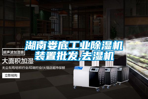 湖南婁底工業(yè)除濕機裝置批發(fā),去濕機