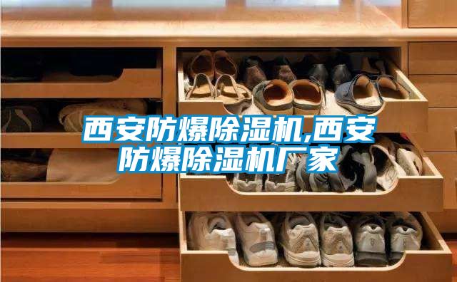 西安防爆除濕機,西安防爆除濕機廠(chǎng)家