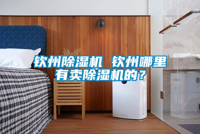 欽州除濕機 欽州哪里有賣(mài)除濕機的？