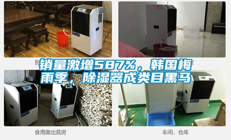 銷(xiāo)量激增587%，韓國梅雨季，除濕器成類(lèi)目黑馬