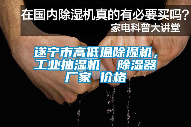 遂寧市高低溫除濕機，工業(yè)抽濕機  除濕器廠(chǎng)家 價(jià)格