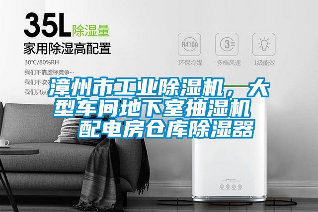 漳州市工業(yè)除濕機，大型車(chē)間地下室抽濕機  配電房倉庫除濕器