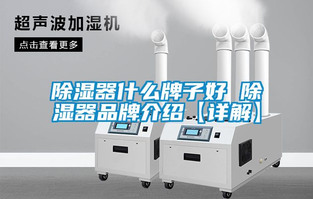 除濕器什么牌子好 除濕器品牌介紹【詳解】
