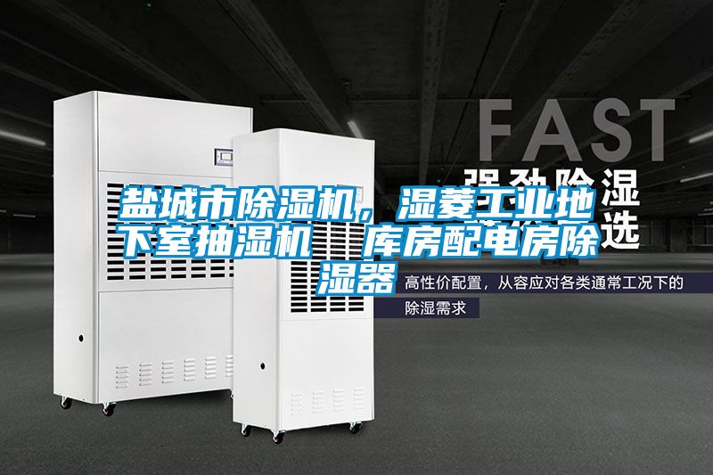 鹽城市除濕機，濕菱工業(yè)地下室抽濕機  庫房配電房除濕器