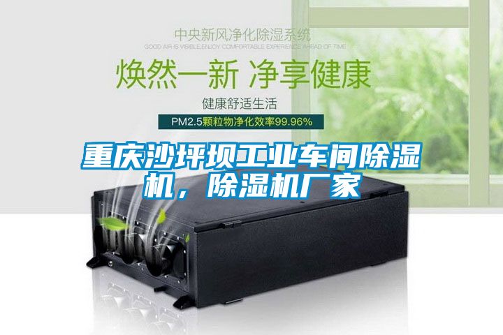 重慶沙坪壩工業(yè)車(chē)間除濕機，除濕機廠(chǎng)家