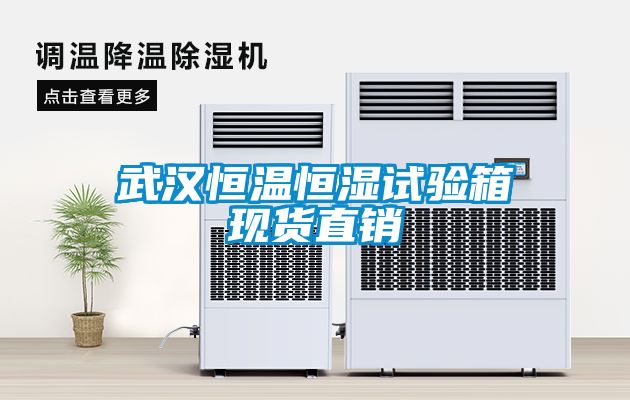 武漢恒溫恒濕試驗箱現貨直銷(xiāo)