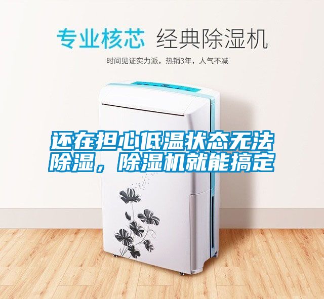 還在擔心低溫狀態(tài)無(wú)法除濕，除濕機就能搞定