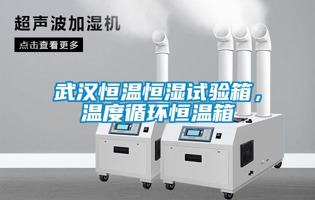 武漢恒溫恒濕試驗箱，溫度循環(huán)恒溫箱