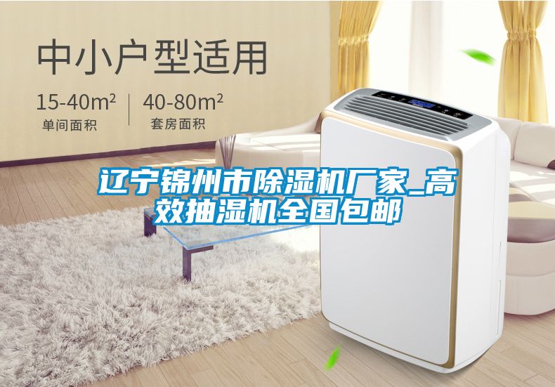 遼寧錦州市除濕機廠(chǎng)家_高效抽濕機全國包郵