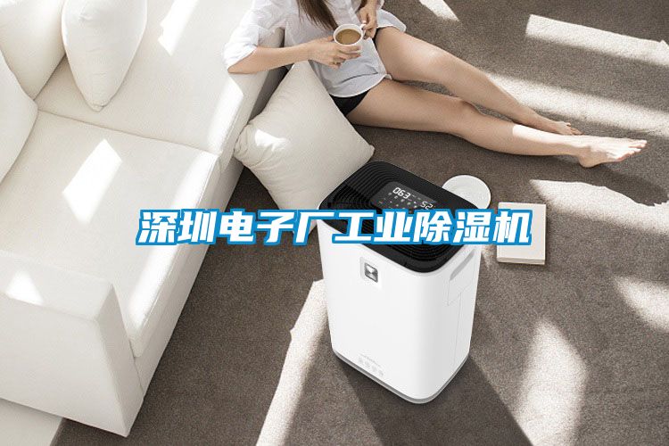 深圳電子廠(chǎng)工業(yè)除濕機