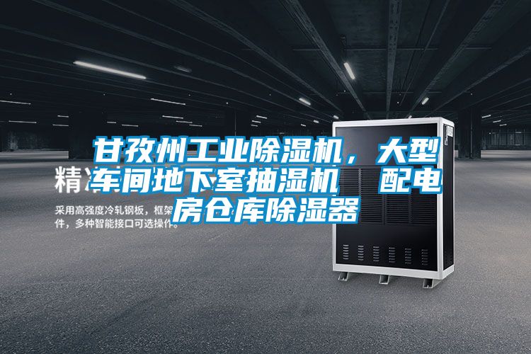 甘孜州工業(yè)除濕機，大型車(chē)間地下室抽濕機  配電房倉庫除濕器