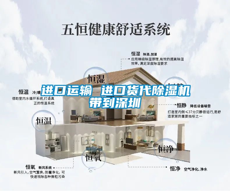 進(jìn)口運輸 進(jìn)口貨代除濕機帶到深圳