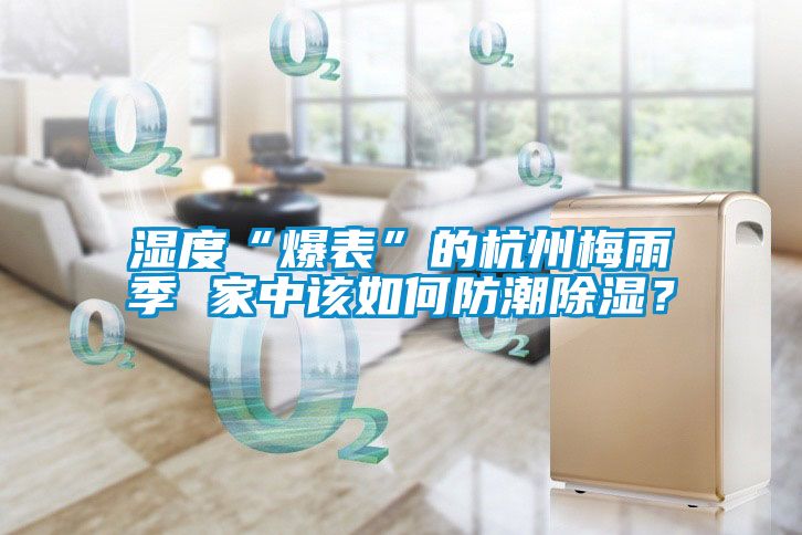 濕度“爆表”的杭州梅雨季 家中該如何防潮除濕？