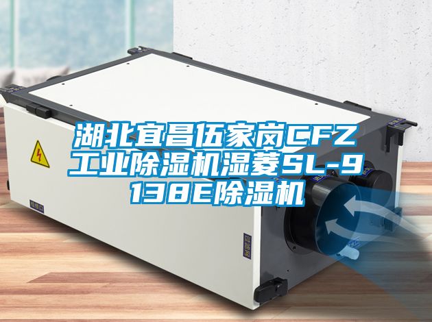 湖北宜昌伍家崗CFZ工業(yè)除濕機濕菱SL-9138E除濕機