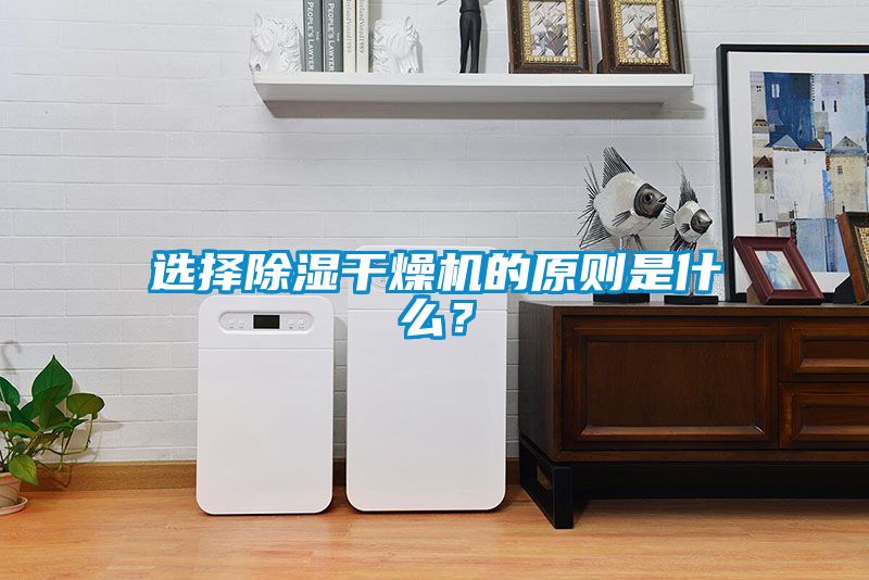 選擇除濕干燥機的原則是什么？