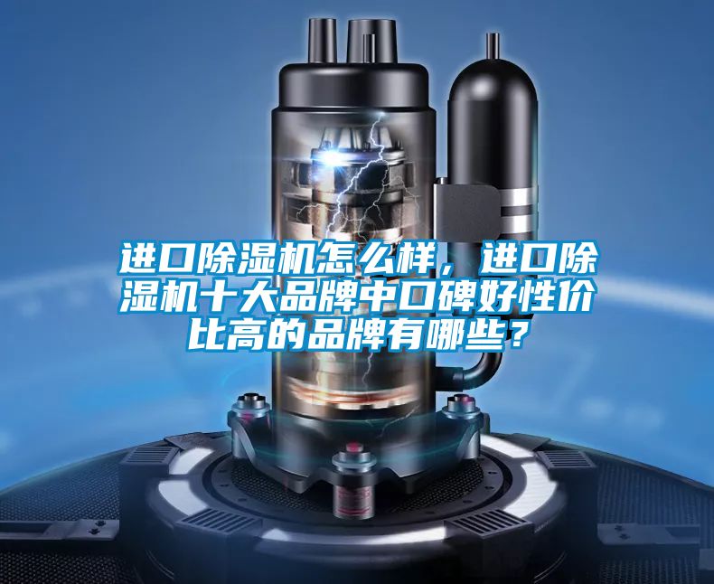 進(jìn)口除濕機怎么樣，進(jìn)口除濕機十大品牌中口碑好性?xún)r(jià)比高的品牌有哪些？
