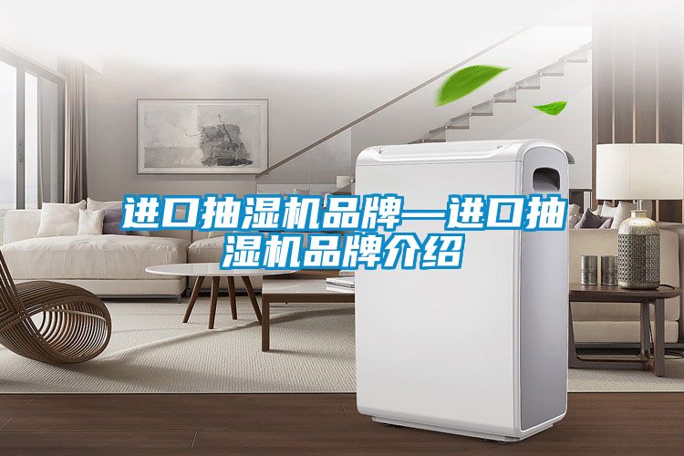 進(jìn)口抽濕機品牌—進(jìn)口抽濕機品牌介紹