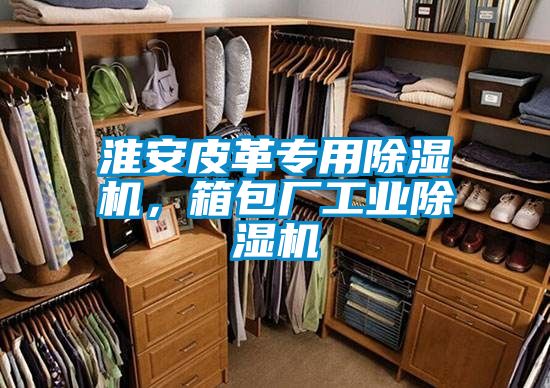 淮安皮革專(zhuān)用除濕機，箱包廠(chǎng)工業(yè)除濕機