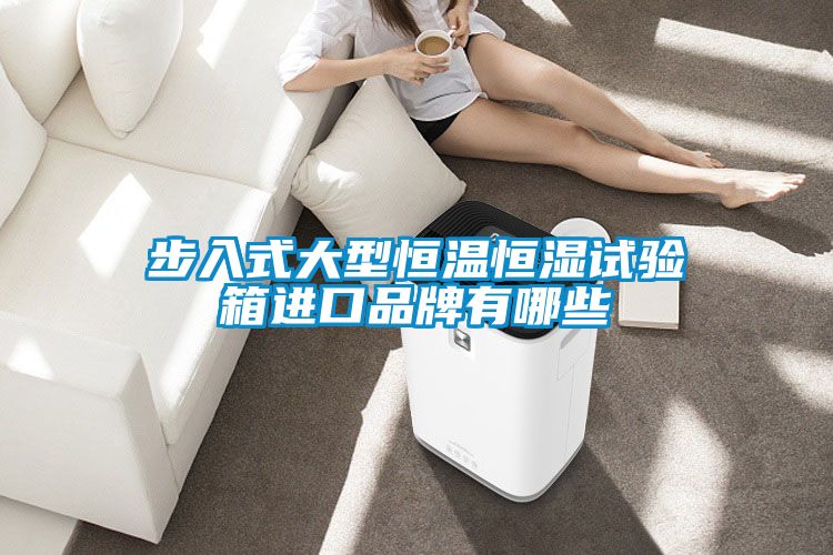 步入式大型恒溫恒濕試驗箱進(jìn)口品牌有哪些