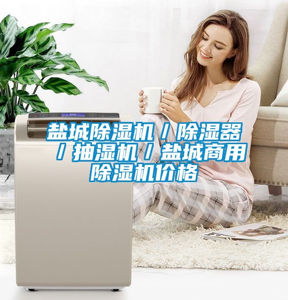 鹽城除濕機／除濕器／抽濕機／鹽城商用除濕機價(jià)格