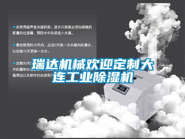 瑞達機械歡迎定制大連工業(yè)除濕機