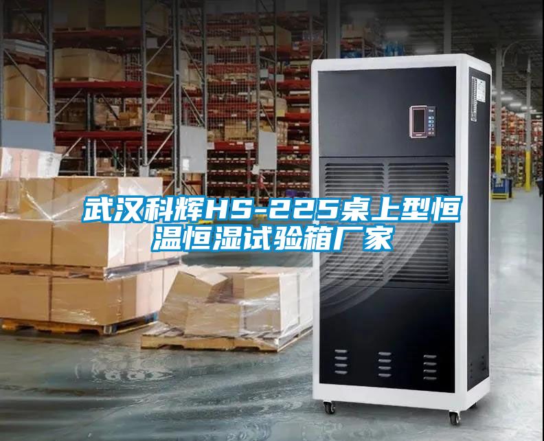 武漢科輝HS-225桌上型恒溫恒濕試驗箱廠(chǎng)家