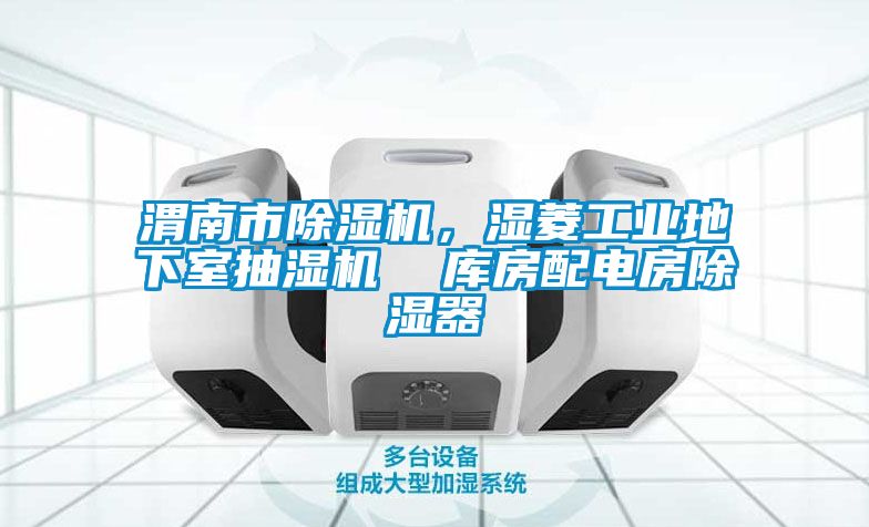 渭南市除濕機，濕菱工業(yè)地下室抽濕機  庫房配電房除濕器