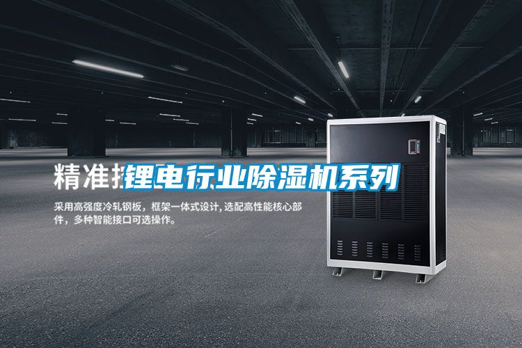 鋰電行業(yè)除濕機系列