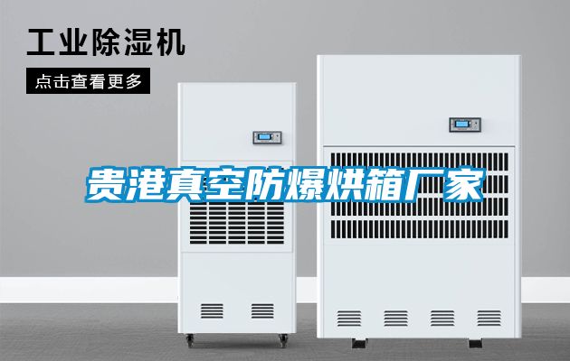 貴港真空防爆烘箱廠(chǎng)家