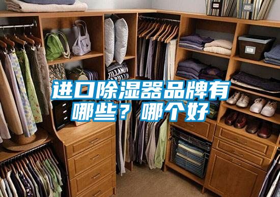 進(jìn)口除濕器品牌有哪些？哪個(gè)好